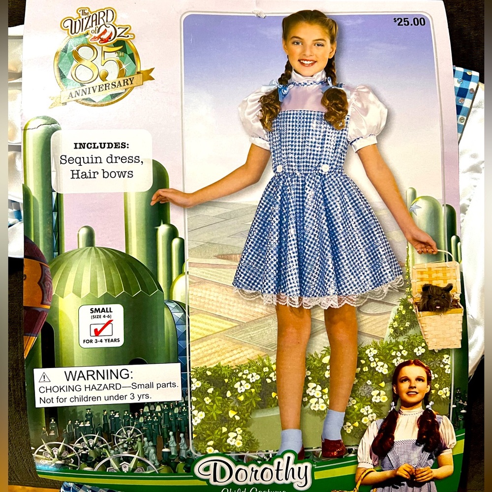 Dorothy Child Costume Wizard of Oz Kids Small 
Girls Rubies Halloween Costume
